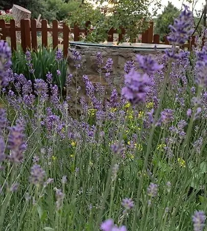 La Galana Εξοχικό σπίτι